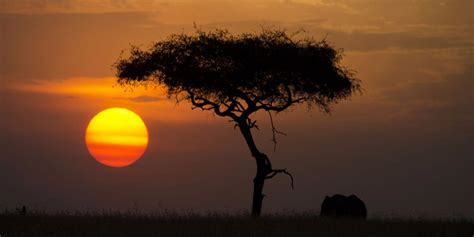 Why is Africa Called the Dark Continent? | Sporcle Blog