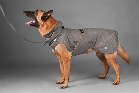 ROUND-UP: Stylish Raincoats for Large Dogs - Hey, Djangles. | Large dog coats, Dog winter ...