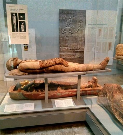 Two Mummies in the British Museum - c. 305 BC and 250 BC. | British ...