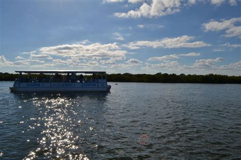 dolphin discovery boat tours | Marine Discovery Center