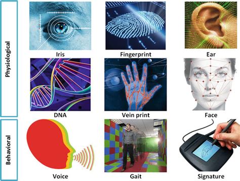 1 Various types of biometric modalities | Download Scientific Diagram