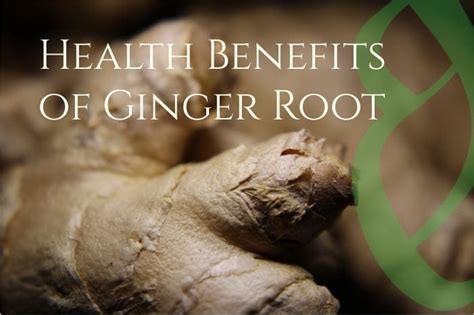 Ginger Root Health Benefits - Healthy Hildegard