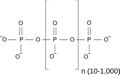 Polyphosphate - Alchetron, The Free Social Encyclopedia