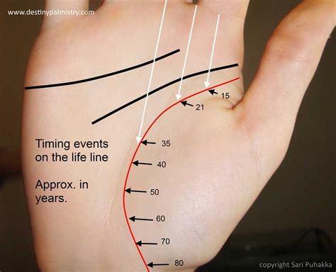 Timing on Life Line Guide Palmistry - Destiny Palmistry