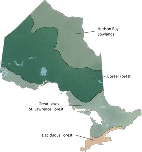 Deciduous Forest Map