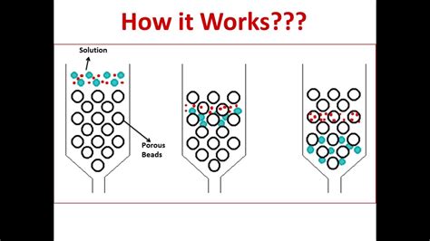 Gel Filtration Chromatography - YouTube