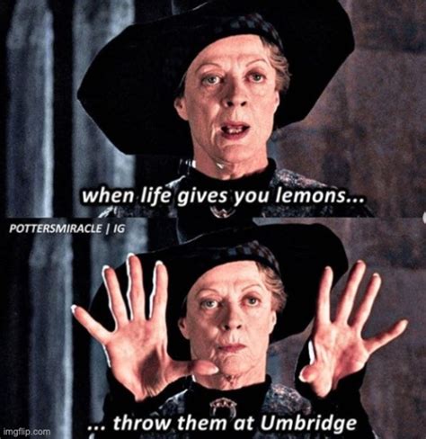 Throw em at umbridge - Imgflip