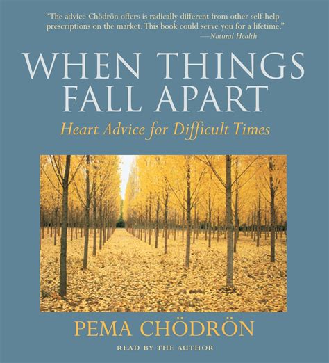 When Things Fall Apart : Heart Advice for Difficult Times - Walmart.com ...