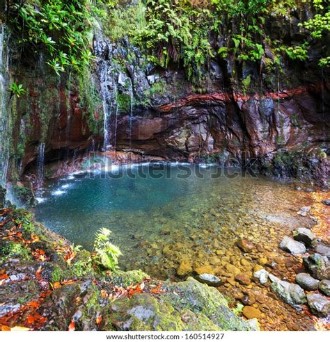 3,774 Madeira Waterfalls Images, Stock Photos & Vectors | Shutterstock