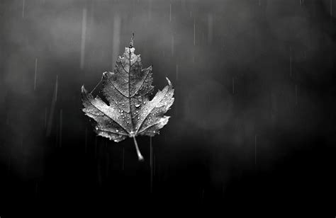 Black Rain Wallpapers - Top Free Black Rain Backgrounds - WallpaperAccess