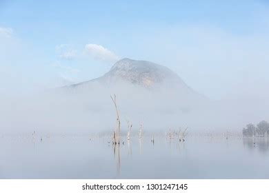 Lake Moogerah Sunrise Queensland Stock Photo 1301247145 | Shutterstock