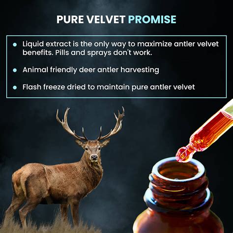 Pure Deer Antler Velvet - Elite Antler has the Highest Potency – Pure ...