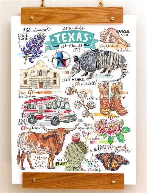 Texas Print, Illustration, State Symbols, the Lone Star State ...