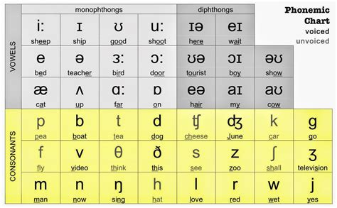 B.Tech 1st Year English @ GVP: Chart of English Sounds