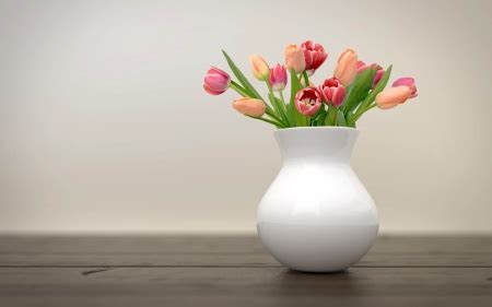 Tulips in Vase - Photography & Abstract Background Wallpapers on Desktop Nexus (Image 2552714)