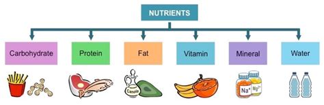 Chapter 7 Food Science Terms- Mia Dodson | Baamboozle - Baamboozle ...