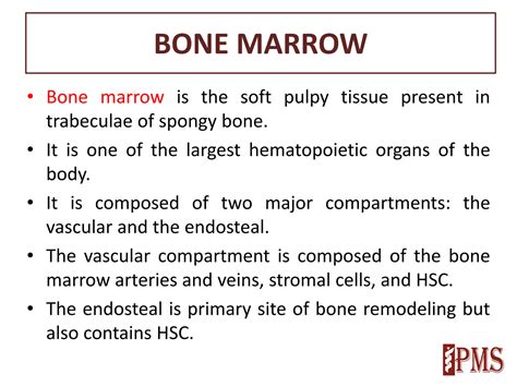 SOLUTION: Lecture 2 bone marrow structure and functions - Studypool