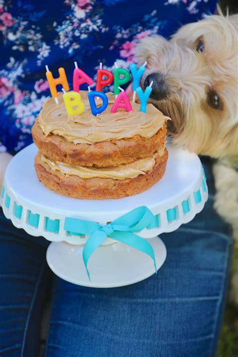 Dog Birthday Cake Recipe For Your Furry Friend - Bigger Bolder Baking