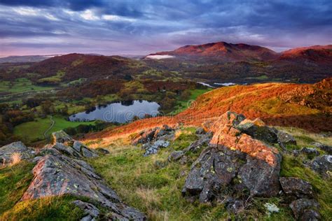 Sunrise at Loughrigg Tarn in Lake District Stock Image - Image of ...