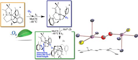 Synthesis in Biological Inorganic Chemistry