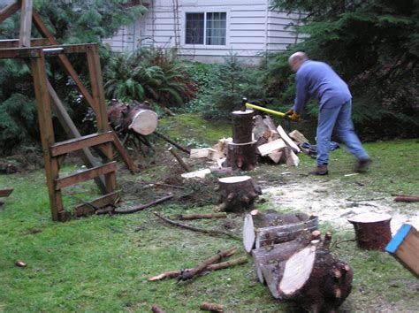 Chopping more wood | Chopping up one of the three trees that… | Flickr