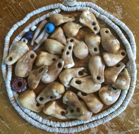 Antique pre-reservation era Western Plains Native American used elk ivory pendants, shell beads ...