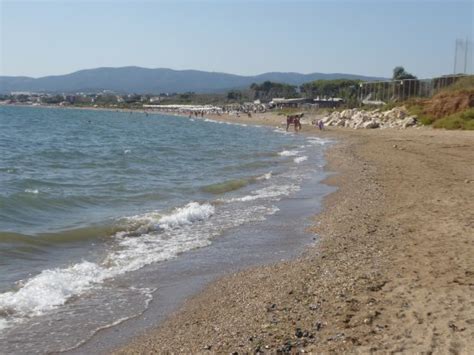 Beach ΕΟΤ (Alexandroupoli) - 2020 All You Need to Know BEFORE You Go (with Photos) - Tripadvisor