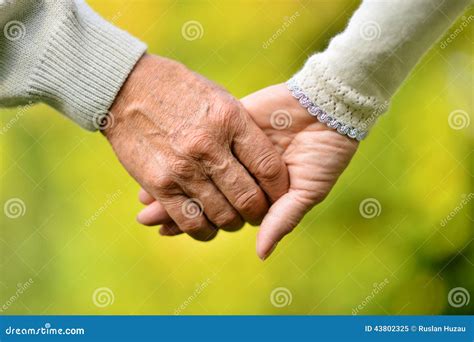 Elderly Couple Holding Hands Stock Image - Image of love, elderly: 43802325