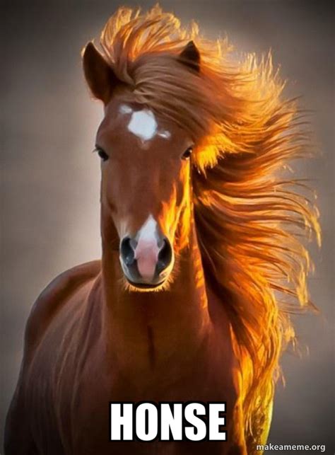 honse - Ridiculously photogenic horse Meme Generator