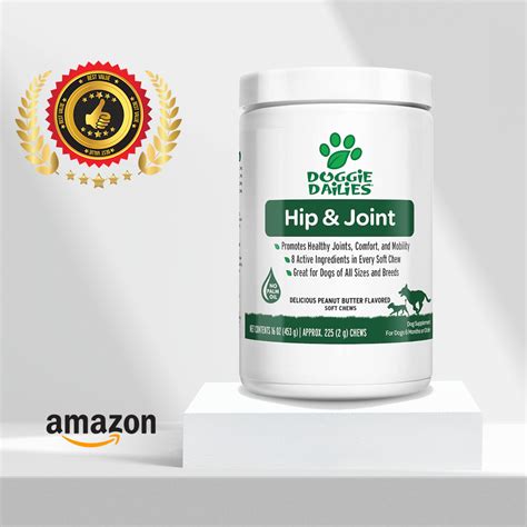 IN A HURRY? Here Are The Top Joint Supplements For Your Dog!