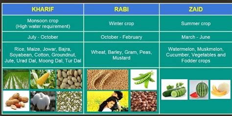 Major crops grown in India - INSIGHTS IAS - Simplifying UPSC IAS Exam Preparation