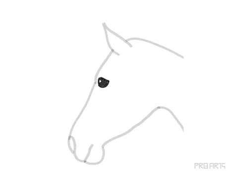 Easy Horse Head Drawing Tutorial - PRB ARTS