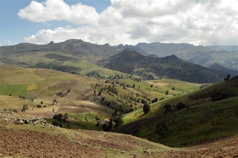 Bale Mountains National Park | Absolute Ethiopia Tours