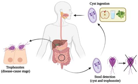 JCM | Free Full-Text | Incidence, Management Experience and Characteristics of Patients with ...