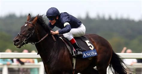 Coolmore Stud: How Irish success story helped shape racing history - Irish Mirror Online