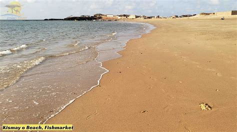 Kismayo City “Never miss Goobweyn Paradise” - Somali Safari Tours | Somalia tourism | Travel to ...