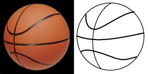 Fighting Cystic Fibrosis: [Get 39+] Basketball Ball Drawing Png