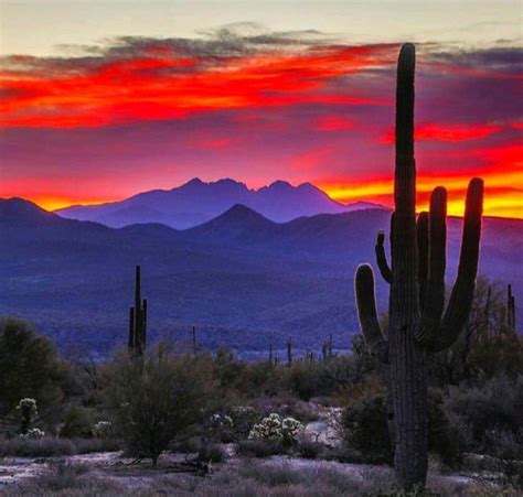 A beautiful sunset in Mesa Arizona. Yep I get to this this every day my life is awesome ...