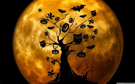 Halloween Owl Wallpapers - Wallpaper Cave