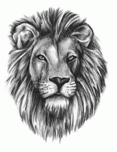 25+ Unbelievably Realistic Lion Tattoo Drawings | Lion head tattoos ...