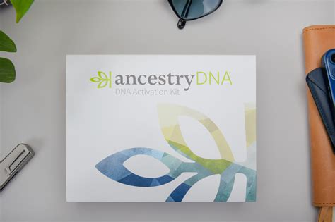 Our Verdict: AncestryDNA Delivers Great Info on Your Family Tree