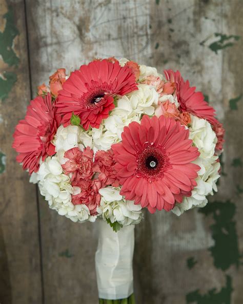 Coral gerbera, carnations and spray roses with a background of white ...