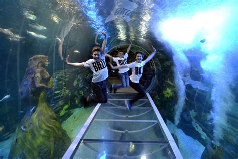 Billy Elliots Make A Splash At The National Sea Life Centre Birmingham - Birmingham Hippodrome