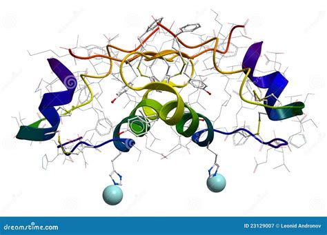 Insulin Molecular Structure Royalty Free Stock Photography - Image ...