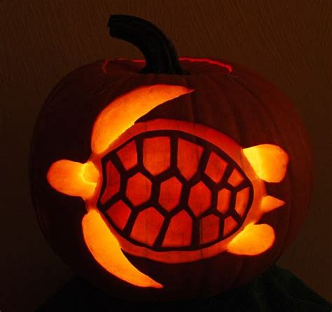 Sea Turtle Pumpkin Carving | Creative pumpkin carving, Pumpkin carving contest, Cute pumpkin carving