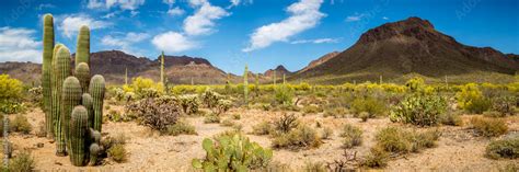 Arizona Desert Landscape Stock Photo | Adobe Stock