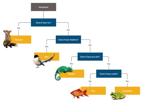 Dichotomous Flow Chart Template