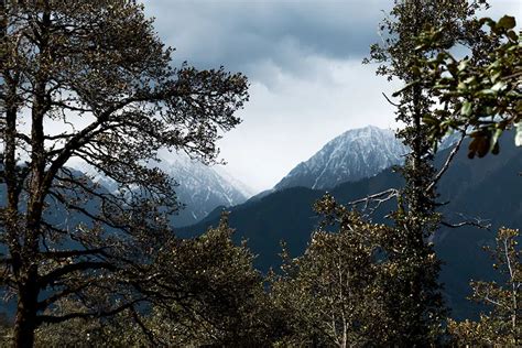 10 Places to Visit in Palampur - Trekking, Stay Options, Festivals