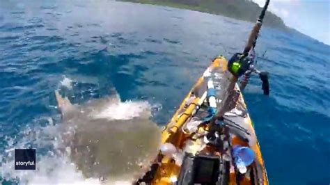 Tiger shark attacks kayaker off Hawaii coast: ‘Mistook me for the seal’ - TrendRadars