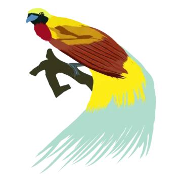 Male Bird Of Paradise Logo Illustration Vector, Paradise, Animal ...